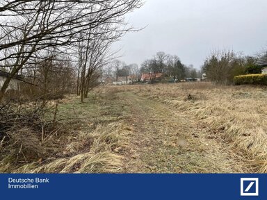 Grundstück zum Kauf provisionsfrei 90.000 € 12.500 m² Grundstück Neuhardenberg Neuhardenberg 15320