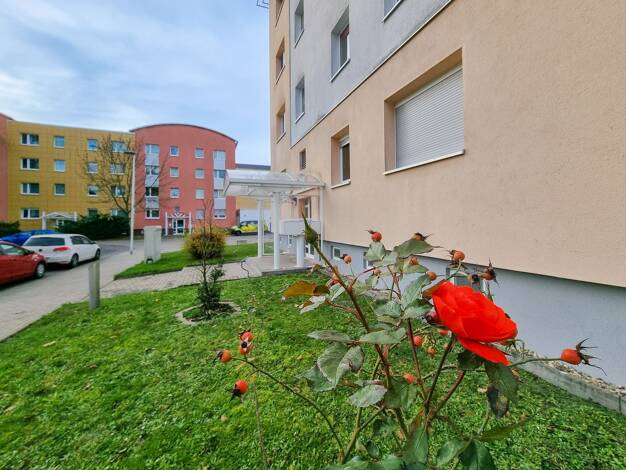 Wohnung zur Miete 365 € 2 Zimmer 48,6 m² 1. Geschoss Pablo-Picasso-Straße 10 Kannenstieg Kannenstieg 39128
