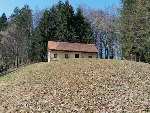 Land-/Forstwirtschaft zum Kauf 48.000 m² Grundstück Ehrenhausen an der Weinstraße 8461