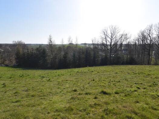 Grundstück zum Kauf 63.750 € 750 m² Grundstück Lauenhain Crimmitschau 08451