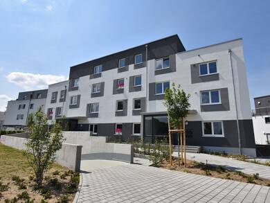 Wohnung zur Miete 930 € 2 Zimmer 65 m² EG frei ab 01.10.2025 Dr.-Karl-Reiß-Weg 4 Offenbach am Main Offenbach 63075