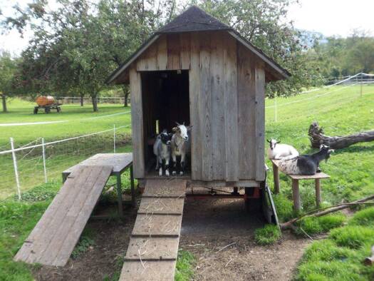 Wohnung zum Kauf - Erstbezug provisionsfrei 1.165.900 € 3 Zimmer 139 m² 2. Geschoss frei ab sofort Bundesstraße 27 Zarten Kirchzarten 79199