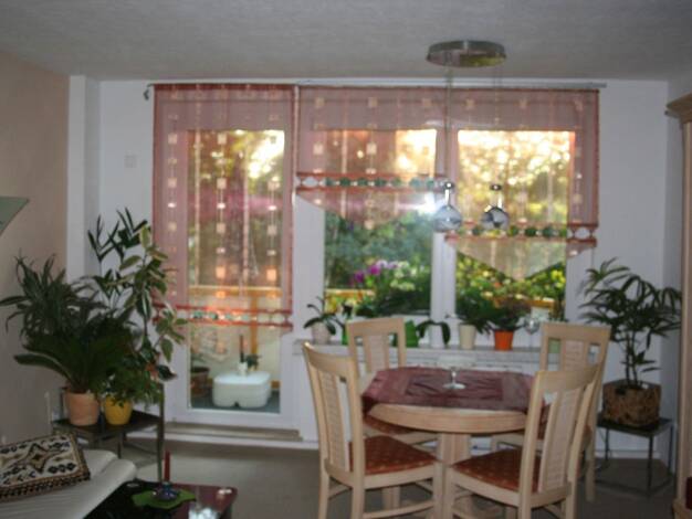 Wohnung zur Miete 390 € 3 Zimmer 60 m² EG frei ab 01.01.2026 Comeniusstraße 38 Altchemnitz Chemnitz 09120