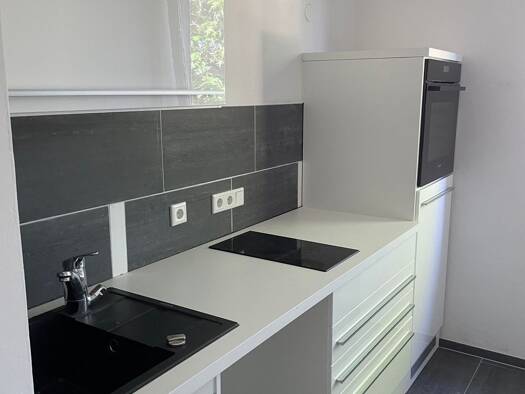 Wohnung zur Miete 600 € 2 Zimmer 55 m² Geschoss -3/3 frei ab sofort Schniegling Nürnberg 90427