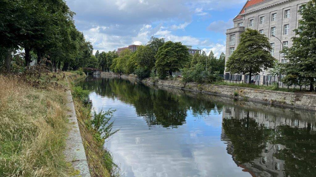 Wohnung zum Kauf als Kapitalanlage geeignet 239.000 € 2 Zimmer 59,4 m² Albrechtstraße 62 A Steglitz Berlin 12167