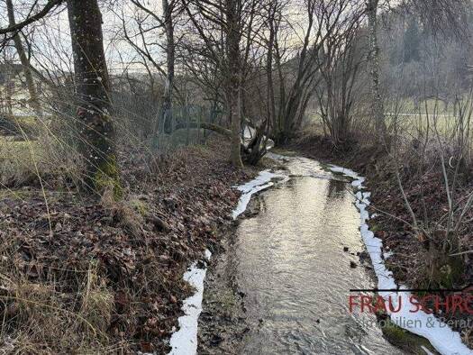 Bauernhaus zum Kauf 349.000 € 7 Zimmer 155 m² 2.452 m² Grundstück Büßlingen Tengen / Büßlingen 78250