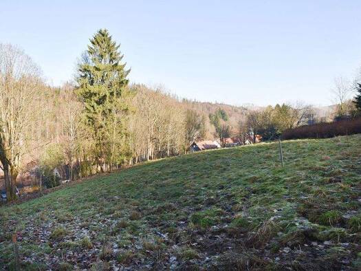 Grundstück zum Kauf 288.500 € 5.133 m² Grundstück Harz 38707