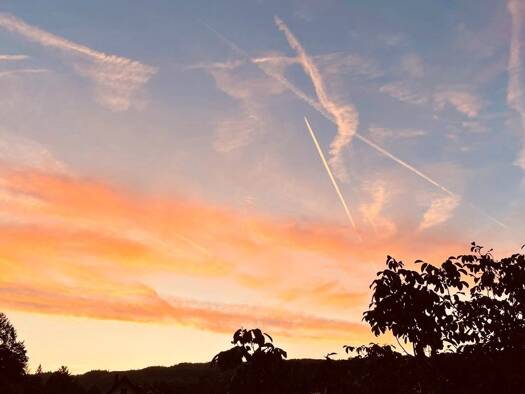 Grundstück zum Kauf 1.000.000 € 2.101 m² Grundstück Großostheim 63762