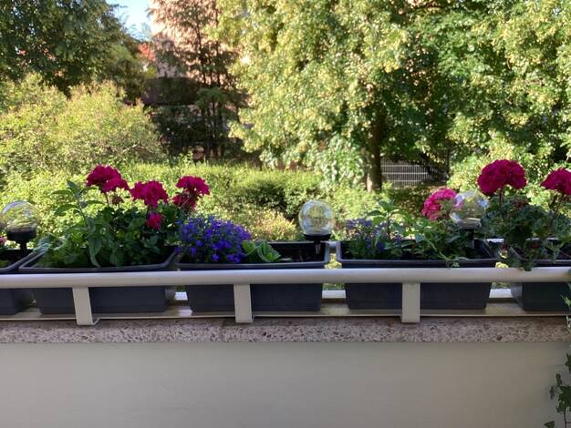 Wohnung zum Kauf 299.000 € 2 Zimmer 68 m² EG Berlin 12685