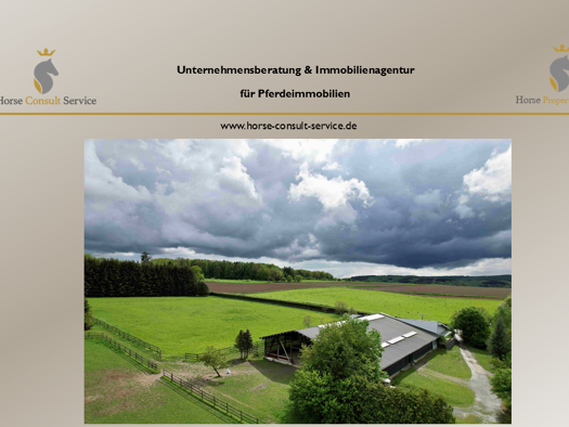 Villa zum Kauf 1.695.000 € 260 m² 114.000 m² Grundstück Bonbaden Braunfels 35619