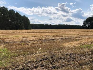 Landwirtschaftliche Fläche zum Kauf 90.000 € 67.984 m² 67.984 m² Grundstück Wiepersdorf Schönewalde 04916