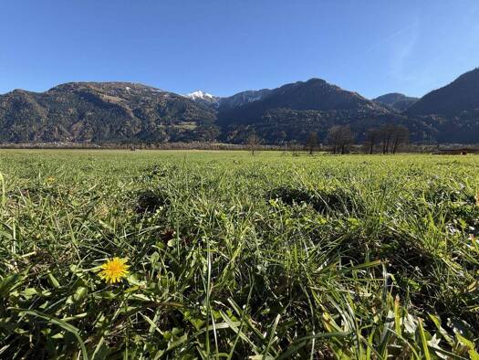 Grundstück zum Kauf 35.139 € 901 m² Grundstück Kleblach 9753