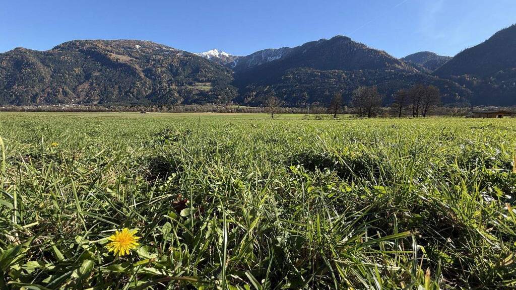 Grundstück zum Kauf 35.139 € 901 m² Grundstück Kleblach 9753