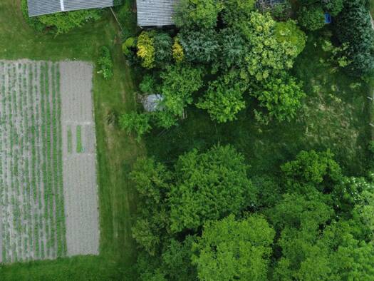 Grundstück zum Kauf provisionsfrei 53.500 € 1.200 m² Grundstück Martenshagen Divitz-Spoldershagen 18314