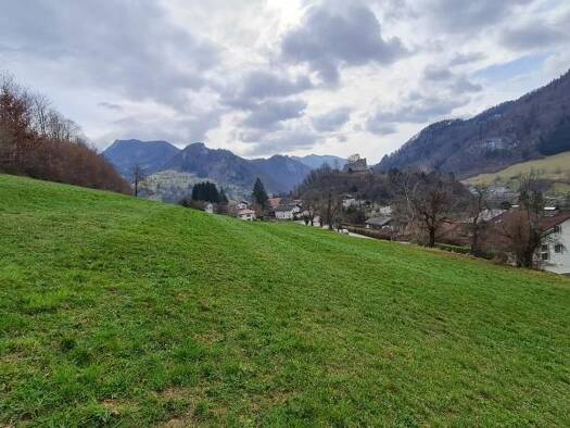 Grundstück zum Kauf 2.000.000 € 11.936 m² Grundstück Losenstein 4460