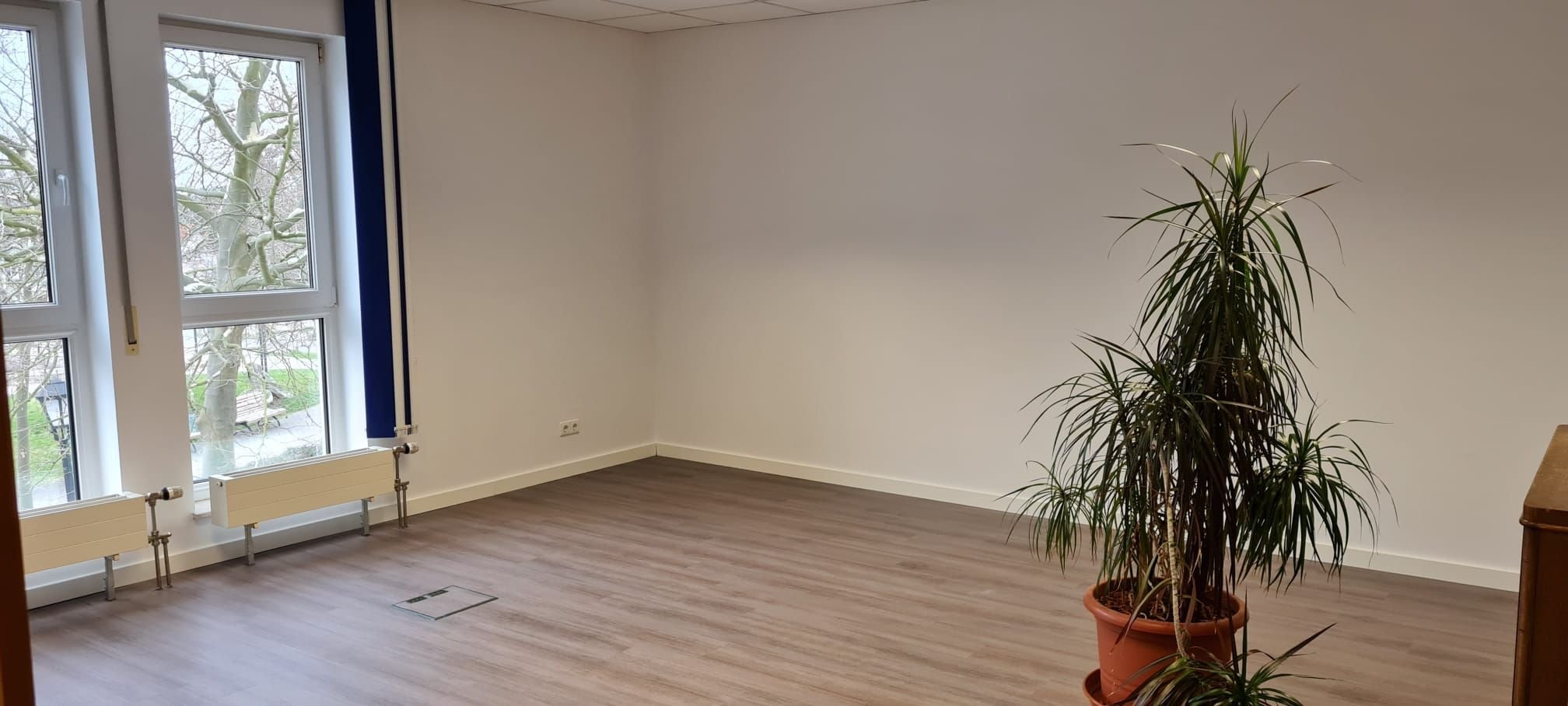 Bürofläche zur Miete provisionsfrei 600 € 2 Zimmer 37,2 m²<br/>Bürofläche von 37,2 m² bis 46,4 m²<br/>Teilbarkeit Weinhold Arkade 2 Zwenkau Zwenkau 04442