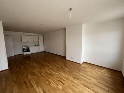 3-Zimmer-Wohnung mit Terrasse, 78 m², Simmering, Simmering