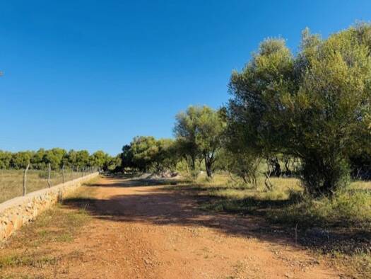 Grundstück zum Kauf 390.000 € 15.000 m² Grundstück Porto Cristo