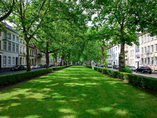 Bürofläche zur Miete provisionsfrei 350 € 14 Zimmer 344 m² Bürofläche teilbar ab 13 m² Stadtmitte Krefeld 47798