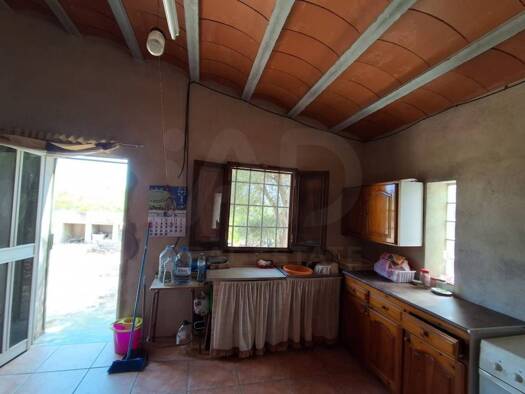Acker-/Waldstück zum Kauf 85.000 € l'Ampolla 43895