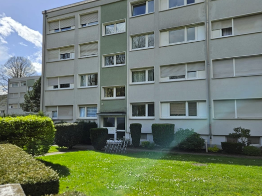 WG-Zimmer zur Miete 575 € 3,5 Zimmer 85 m² Geschoss 2/3 frei ab sofort Elsa-Brandström-Str. 15 Drewer Marl 45770