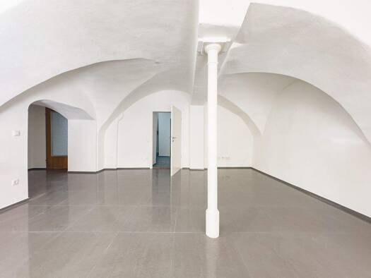 Atelier zur Miete 500 € 1 Zimmer 58,8 m² Bürofläche Bräugasse 21 Altstadt Passau 94032