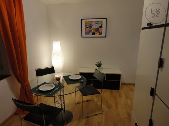 Wohnung zur Miete Wohnen auf Zeit 755 € 1 Zimmer 30 m²<br/>Wohnfläche 01.01.2025<br/>Verfügbarkeit Rheinfelden Rheinfelden 79618