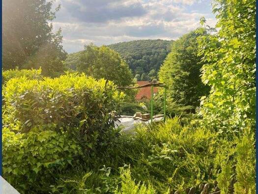 Reihenmittelhaus zum Kauf provisionsfrei 111.000 € 4 Zimmer 110 m² 203 m² Grundstück Bad Salzdetfurth 31162