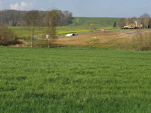 Grundstück zum Kauf 98.500 € 725 m² Grundstück Rhäsa Nossen 01683