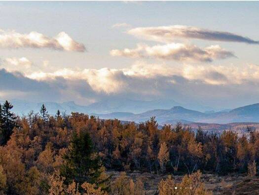 Grundstück zum Kauf provisionsfrei 60.262 € 1.200 m² Grundstück Etnedal 2890