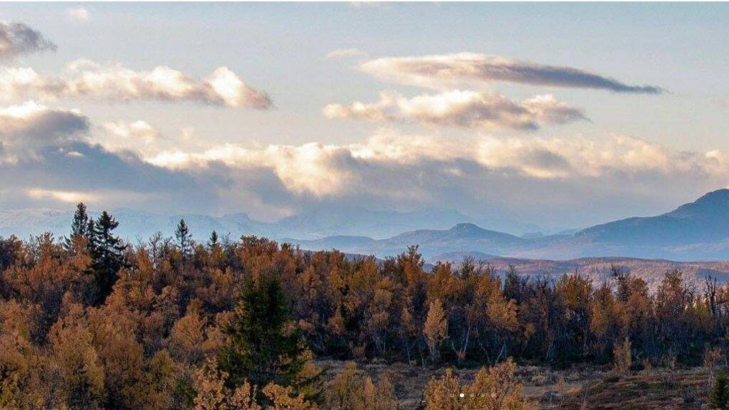 Grundstück zum Kauf provisionsfrei 60.262 € 1.200 m² Grundstück Etnedal 2890