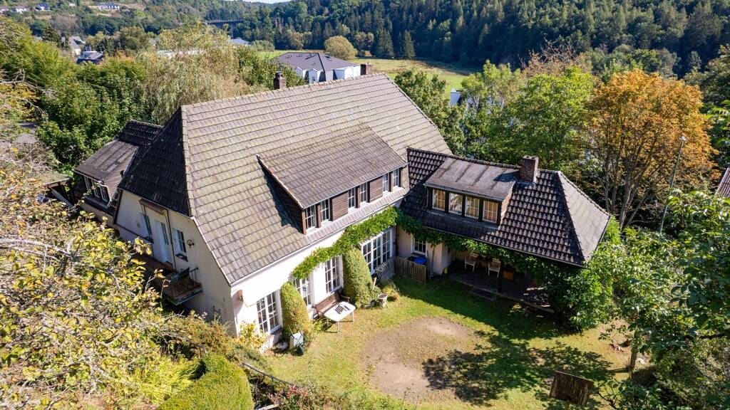 Einfamilienhaus zum Kauf 349.000 € 12 Zimmer 375 m² 1.396 m² Grundstück Daun 54550