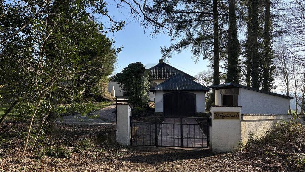 Einfamilienhaus zum Kauf 289.000 € 5 Zimmer 140 m² 1.660 m² Grundstück Britten Losheim am See 66679