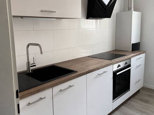 Wohnung zur Miete 570 € 2 Zimmer 55 m² Geschoss EG/4 frei ab 01.09.2026 Düren 52351