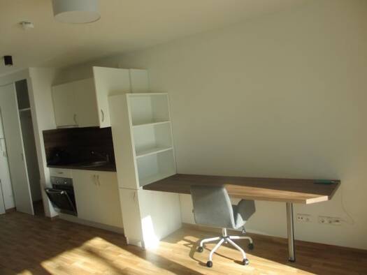 Wohnung zur Miete 350 € 1 Zimmer 26,2 m² EG frei ab 01.02.2026 Zieglstadl 1 a Zieglstadl Pfarrkirchen 84347