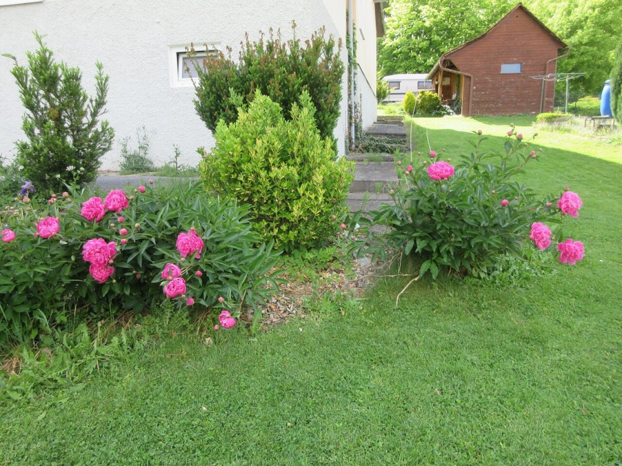 Einfamilienhaus zum Kauf 195.000 € 130 m²<br/>Wohnfläche 1.250 m²<br/>Grundstück Pischelsdorf in der Steiermark 8212