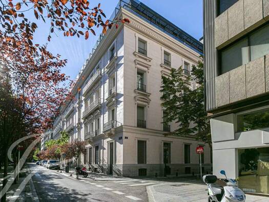 Laden zum Kauf provisionsfrei 5.500.000 € Madrid 28001