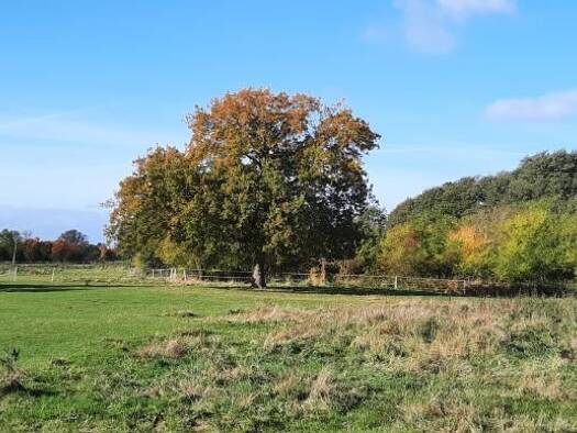 Grundstück zum Kauf 5.870 m² Grundstück Blankenhagen 18182