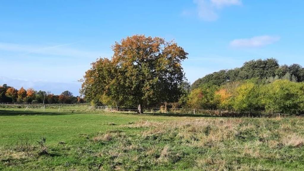 GrundstĂŒck zum Kauf 5.870 mÂČ GrundstĂŒck Blankenhagen 18182