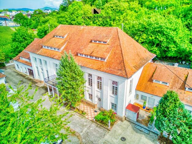 Mehrfamilienhaus zum Kauf 1.990.000 € 26 Zimmer 1.000 m² 4.450 m² Grundstück Oberschopfheim Friesenheim / Oberschopfheim 77948