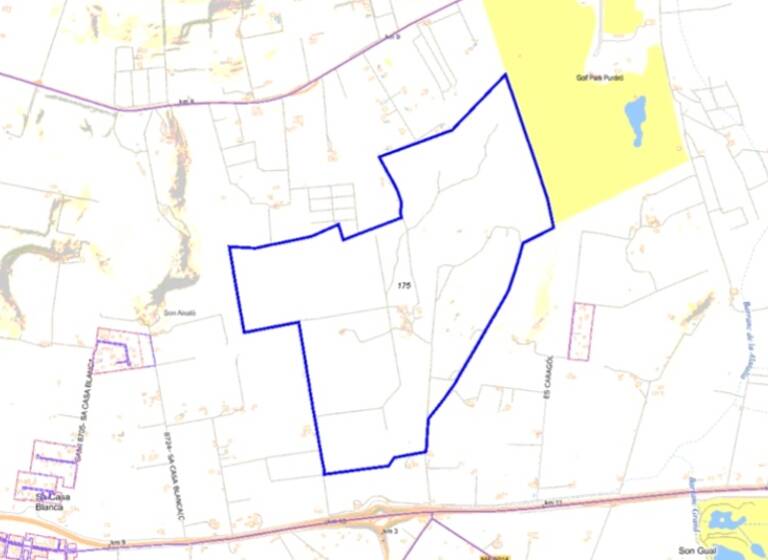 Land-/Forstwirtschaft zum Kauf 11.000.000 € 1.260.000 m² Grundstück Palma De Mallorca 07198