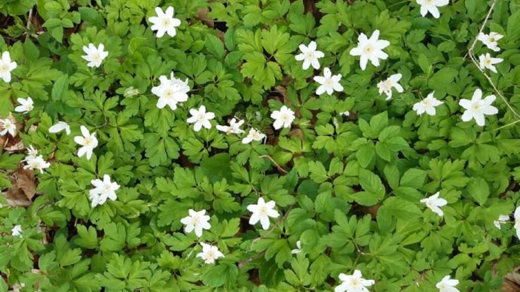 Wohnung zur Miete 3 Zimmer 120 m² Münsing 82541