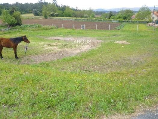 Acker-/Waldstück zum Kauf 27.000 € Vedra 15885