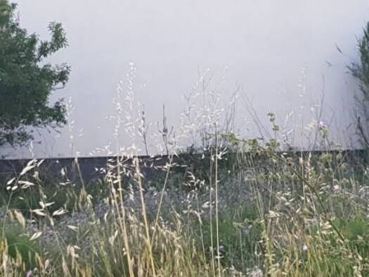 Haus zum Kauf 95.000 € 3 Zimmer 480 m² Grundstück San Lorenzo