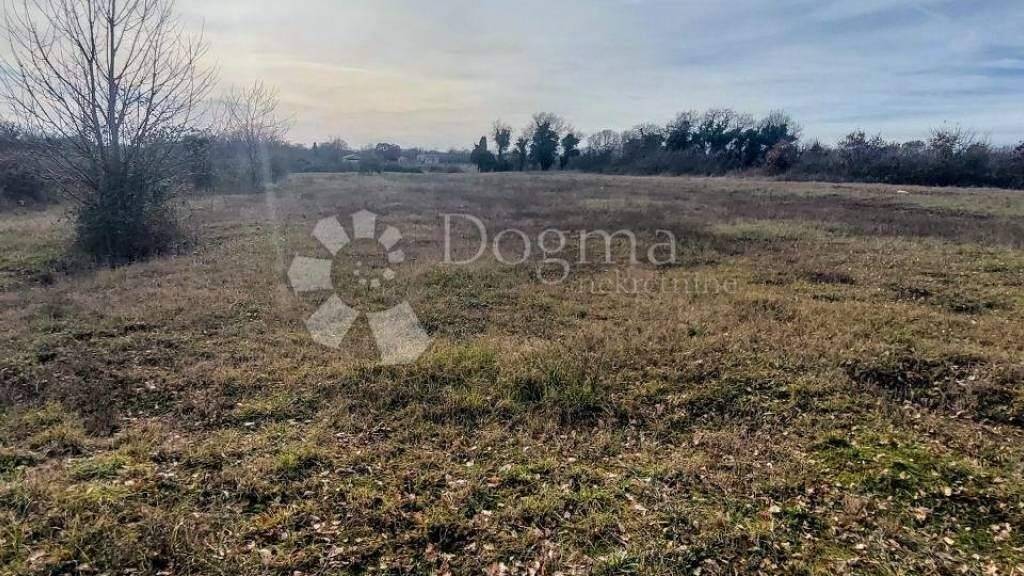 Land-/Forstwirtschaft zum Kauf 80.000 € Centar, Loborika