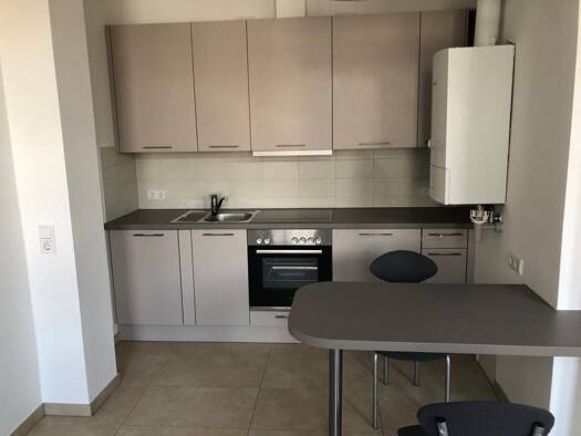 Wohnung zur Miete 320 € 1 Zimmer 40 m² frei ab 01.11.2026 Max-Pechstein-Straße 20 Innenstadt Zwickau 08056