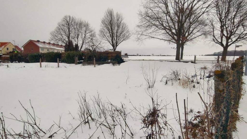 Grundstück zum Kauf 265.000 € 1.450 m² Grundstück frei ab sofort Bilm Sehnde 31319