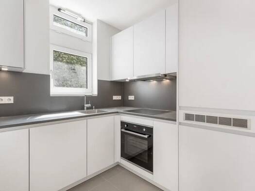 Terrassenwohnung zur Miete 699 € 1 Zimmer 41 m² frei ab sofort Korbinianstraße 27 Milbertshofen-Am Hart München 80807