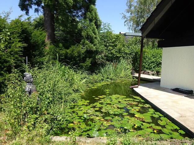 Maisonette zur Miete 2.730 € 6 Zimmer 290 m² EG frei ab 01.11.2026 Lobenrot Aichwald 73773