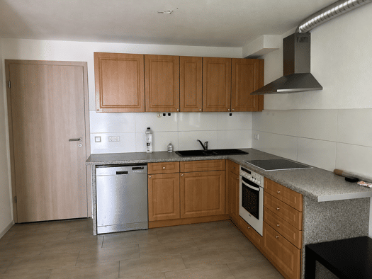 Wohnung zur Miete 550 € 2 Zimmer 40 m² Trossingen Trossingen 78647